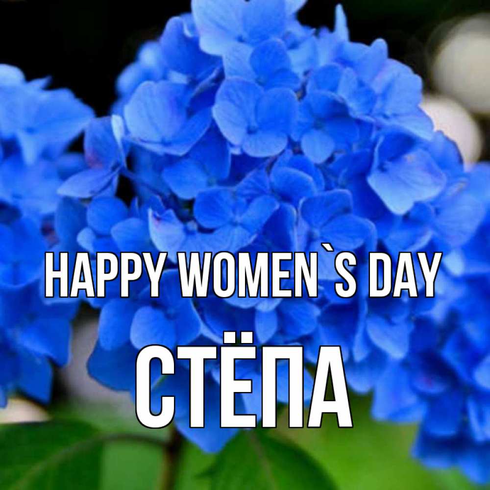 Greetings card с именем, Стёпа happy women`s day синие цветы Greetings with text for free download 